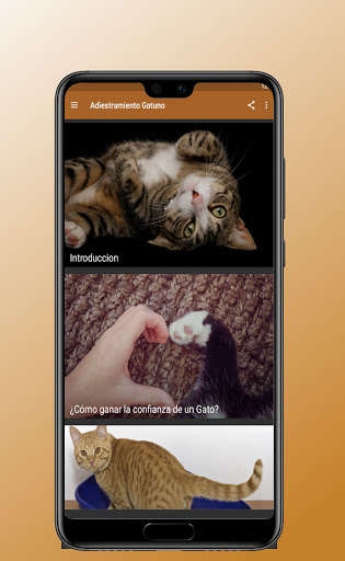 Run android online APK Adiestramiento Gatuno from MyAndroid or emulate Adiestramiento Gatuno using MyAndroid