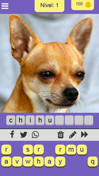 Run android online APK Adivina la raza de perro from MyAndroid or emulate Adivina la raza de perro using MyAndroid