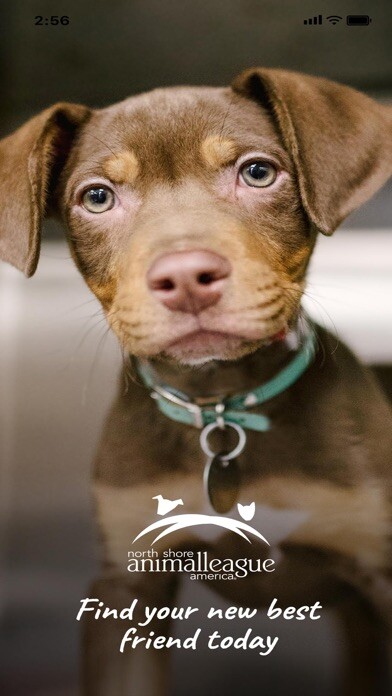 Emulate iPhone app Adopt a Rescue using MyAndroid