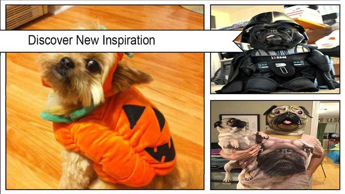 Emulate Android APK Adorable Animal Costumes Emulate Android APK Adorable Animal Costumes