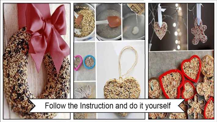 Emulate Android APK Adorable DIY Birdseed Wreath Tutorial Emulate Android APK Adorable DIY Birdseed Wreath Tutorial
