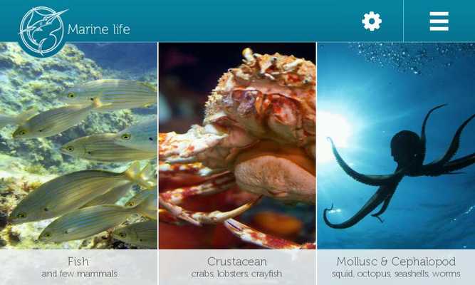 Emulate Android APK Adriatic Fishing Emulate Android APK Adriatic Fishing