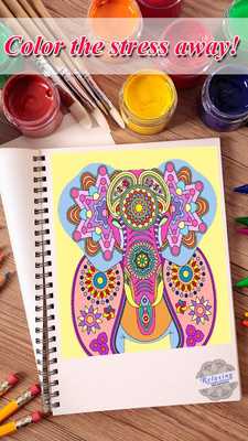 Emulate Android APK Adult Coloring Book - Relaxing Anti-Stress Pages