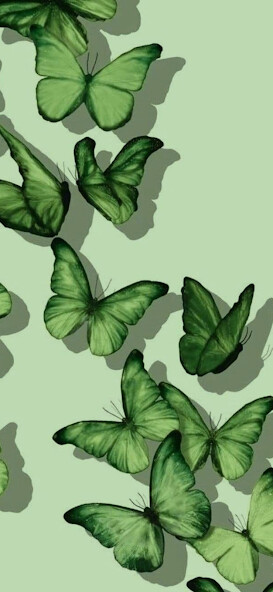 Run android online APK Aesthetic green wallpapers from MyAndroid or emulate Aesthetic green wallpapers using MyAndroid Run android online APK Aesthetic green wallpapers from MyAndroid or emulate Aesthetic green wallpapers using MyAndroid