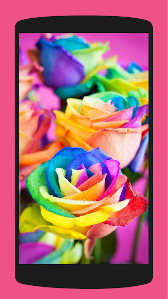Run android online APK Aesthetic Roses Wallpaper 4K from MyAndroid or emulate Aesthetic Roses Wallpaper 4K using MyAndroid