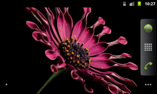 Emulate Android APK African Daisies - Wallpapers Emulate Android APK African Daisies - Wallpapers