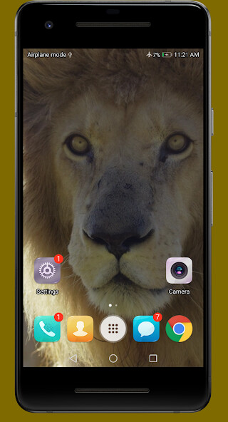 Run android online APK African Lions Video Wallpapers from MyAndroid or emulate African Lions Video Wallpapers using MyAndroid Run android online APK African Lions Video Wallpapers from MyAndroid or emulate African Lions Video Wallpapers using MyAndroid