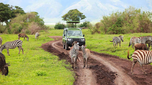 Run android online APK Africa Safari Tours from MyAndroid or emulate Africa Safari Tours using MyAndroid