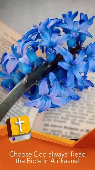 Run android online APK Afrikaans Bible offline audio from MyAndroid or emulate Afrikaans Bible offline audio using MyAndroid