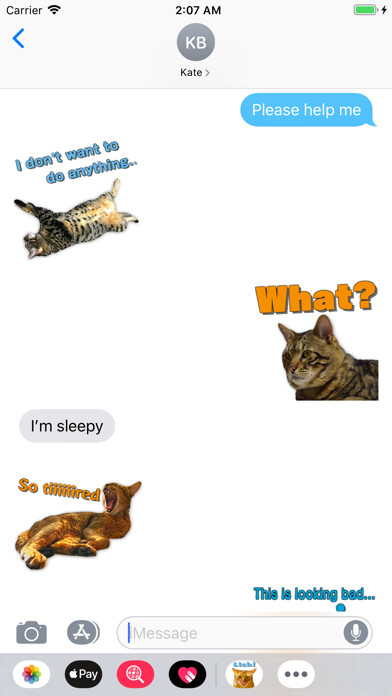 Emulate iPhone app A fun cat message sticker using MyAndroid Emulate iPhone app A fun cat message sticker using MyAndroid