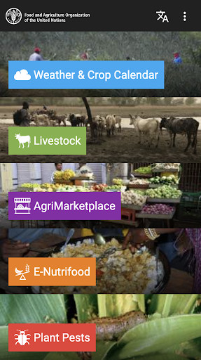Run android online APK Agri Apps - El Mufeed - Saida - Hinga Worore from MyAndroid or emulate Agri Apps - El Mufeed - Saida - Hinga Worore using MyAndroid Run android online APK Agri Apps - El Mufeed - Saida - Hinga Worore from MyAndroid or emulate Agri Apps - El Mufeed - Saida - Hinga Worore using MyAndroid