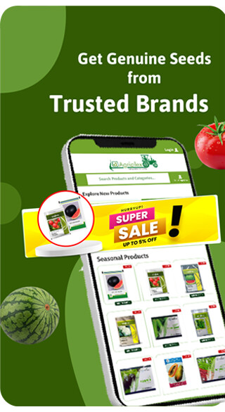Run android online APK Agriplex from MyAndroid or emulate Agriplex using MyAndroid Run android online APK Agriplex from MyAndroid or emulate Agriplex using MyAndroid