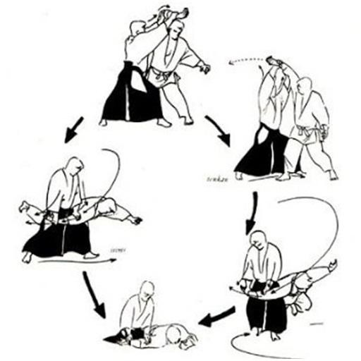 Emulate Android APK Aikido Technique Emulate Android APK Aikido Technique
