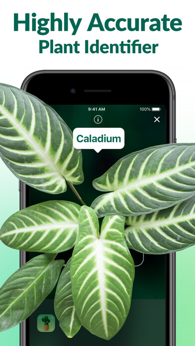 Emulate iPhone app AI Plant Identifier - NatureID using MyAndroid Emulate iPhone app AI Plant Identifier - NatureID using MyAndroid