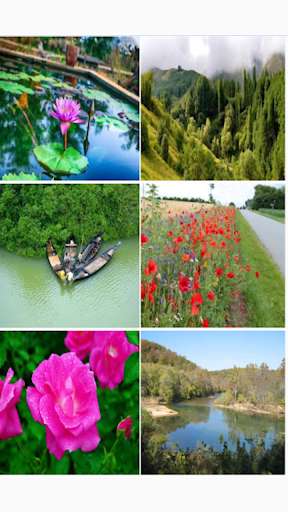 Run android online APK Album Image from MyAndroid or emulate Album Image using MyAndroid