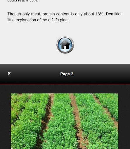 Run android online APK Alfalfa cultivation from MyAndroid or emulate Alfalfa cultivation using MyAndroid Run android online APK Alfalfa cultivation from MyAndroid or emulate Alfalfa cultivation using MyAndroid