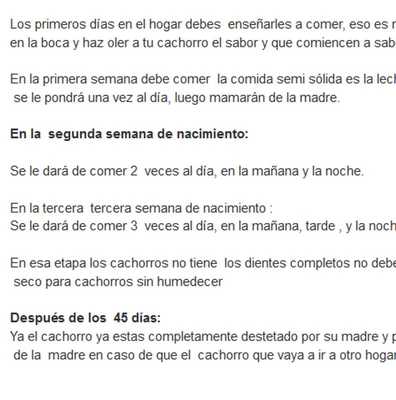 Emulate Android APK Alimentos para perros pitbull Emulate Android APK Alimentos para perros pitbull