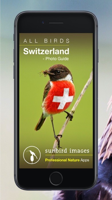 Emulate iPhone app All birds CH - photo guide using MyAndroid Emulate iPhone app All birds CH - photo guide using MyAndroid
