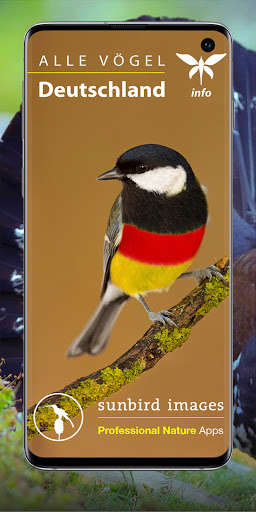 Run android online APK All Birds Germany - Photo Guide from MyAndroid or emulate All Birds Germany - Photo Guide using MyAndroid Run android online APK All Birds Germany - Photo Guide from MyAndroid or emulate All Birds Germany - Photo Guide using MyAndroid