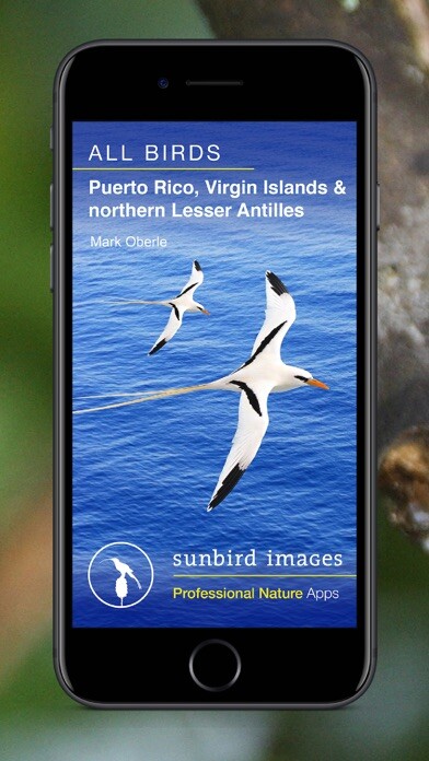 Emulate iPhone app All Birds PR -> Antigua using MyAndroid