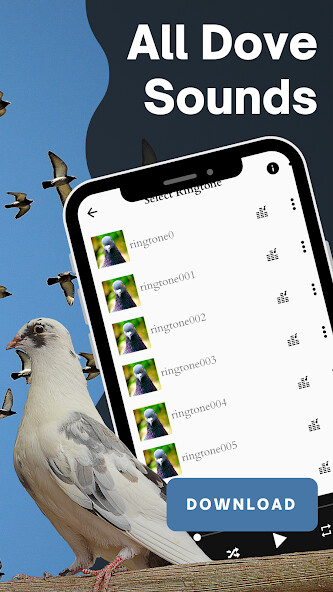 Run android online APK All dove sounds from MyAndroid or emulate All dove sounds using MyAndroid Run android online APK All dove sounds from MyAndroid or emulate All dove sounds using MyAndroid