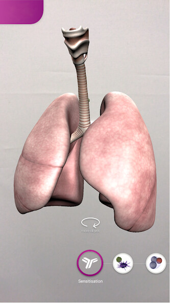 Run android online APK Allergic Asthma from MyAndroid or emulate Allergic Asthma using MyAndroid Run android online APK Allergic Asthma from MyAndroid or emulate Allergic Asthma using MyAndroid