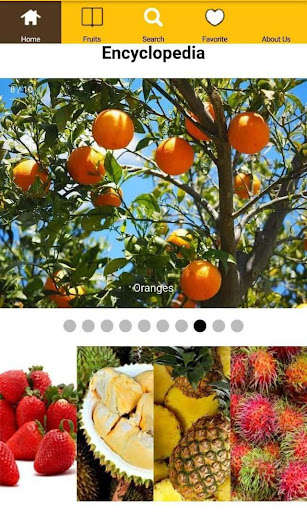 Run android online APK All Fruits Encyclopedia from MyAndroid or emulate All Fruits Encyclopedia using MyAndroid