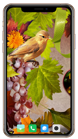 Run android online APK All Seasons Wallpaper from MyAndroid or emulate All Seasons Wallpaper using MyAndroid