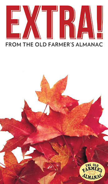 Emulate iPhone app Almanac Extra! using MyAndroid Emulate iPhone app Almanac Extra! using MyAndroid
