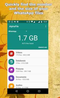 Emulate Android APK AlphaFile Emulate Android APK AlphaFile