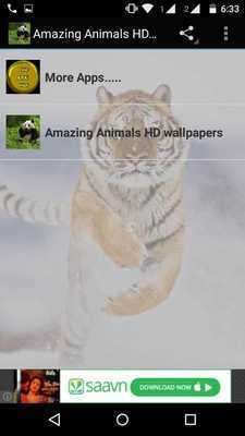 Emulate Android APK Amazing Animals HD Wallpapers