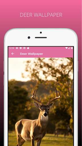 Run android online APK Amazing Deer Wallpapers HD from MyAndroid or emulate Amazing Deer Wallpapers HD using MyAndroid
