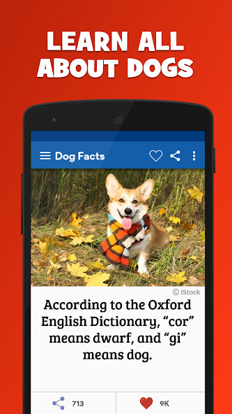 Run android online APK Amazing Dog Facts and Breeds from MyAndroid or emulate Amazing Dog Facts and Breeds using MyAndroid