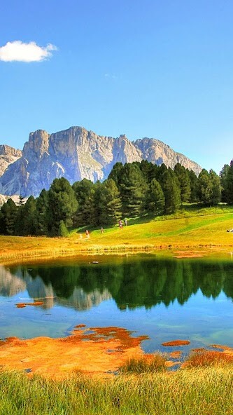 Run android online APK Amazing Nature Wallpaper from MyAndroid or emulate Amazing Nature Wallpaper using MyAndroid Run android online APK Amazing Nature Wallpaper from MyAndroid or emulate Amazing Nature Wallpaper using MyAndroid