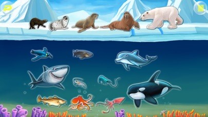 Emulate iPhone app Amazing Ocean Animals- Educational Learning Apps for Kids Free using MyAndroid Emulate iPhone app Amazing Ocean Animals- Educational Learning Apps for Kids Free using MyAndroid