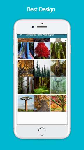 Run android online APK Amazing Tree Wallpaper from MyAndroid or emulate Amazing Tree Wallpaper using MyAndroid Run android online APK Amazing Tree Wallpaper from MyAndroid or emulate Amazing Tree Wallpaper using MyAndroid
