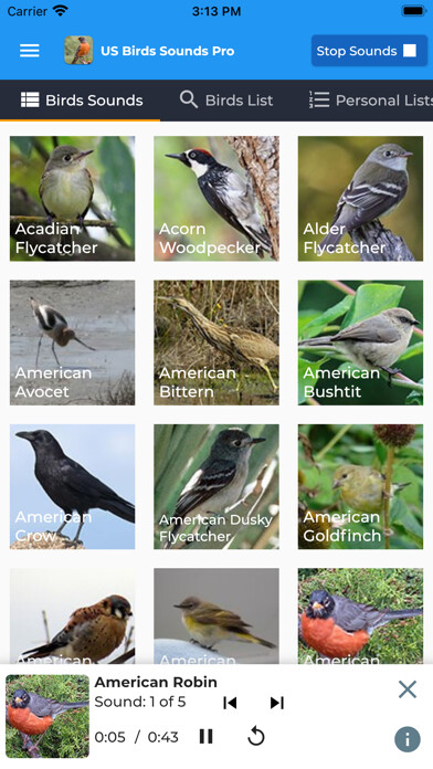 Emulate iPhone app American Birds Sounds Pro using MyAndroid Emulate iPhone app American Birds Sounds Pro using MyAndroid