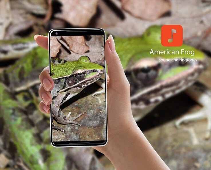 Emulate Android APK American Frog Sounds