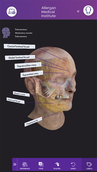Run android online APK AMI Facial Anatomy and Cadaver from MyAndroid or emulate AMI Facial Anatomy and Cadaver using MyAndroid Run android online APK AMI Facial Anatomy and Cadaver from MyAndroid or emulate AMI Facial Anatomy and Cadaver using MyAndroid
