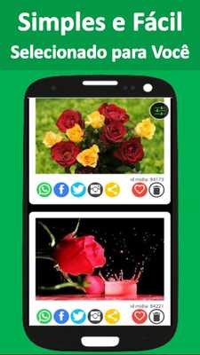 Emulate Android APK Amor Imagens e Flores Emulate Android APK Amor Imagens e Flores