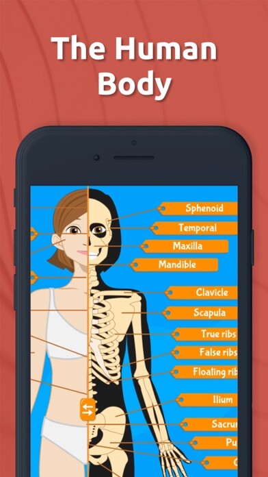 Emulate iPhone app Anatomix - Human Body Game using MyAndroid Emulate iPhone app Anatomix - Human Body Game using MyAndroid