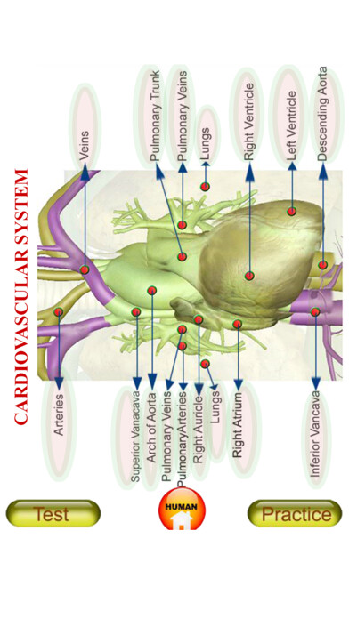 Emulate iPhone app ANATOMY 3D Pro using MyAndroid Emulate iPhone app ANATOMY 3D Pro using MyAndroid