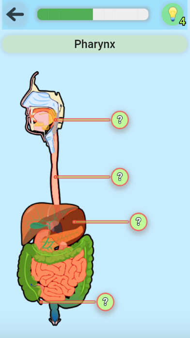 Emulate iPhone app Anatomy Game using MyAndroid Emulate iPhone app Anatomy Game using MyAndroid