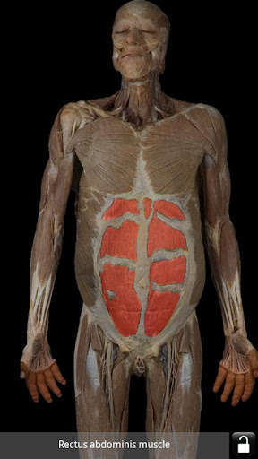 Run android online APK AnatomyLab from MyAndroid or emulate AnatomyLab using MyAndroid