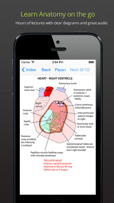 Emulate iPhone app Anatomy Lectures and MCQs using MyAndroid Emulate iPhone app Anatomy Lectures and MCQs using MyAndroid