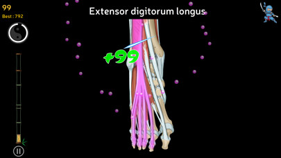 Emulate iPhone app Anatomy Ninja Lower Limb using MyAndroid Emulate iPhone app Anatomy Ninja Lower Limb using MyAndroid