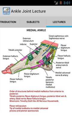 Emulate Android APK Anatomy of the Ankle Joint Emulate Android APK Anatomy of the Ankle Joint