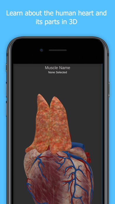 Emulate iPhone app Anatomy Of The Human Heart using MyAndroid Emulate iPhone app Anatomy Of The Human Heart using MyAndroid
