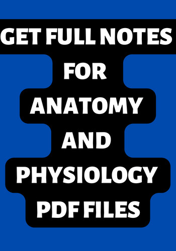 Run android online APK ANATOMY PHYSIOLOGY FULL NOTES from MyAndroid or emulate ANATOMY PHYSIOLOGY FULL NOTES using MyAndroid Run android online APK ANATOMY PHYSIOLOGY FULL NOTES from MyAndroid or emulate ANATOMY PHYSIOLOGY FULL NOTES using MyAndroid