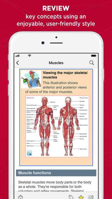 Emulate iPhone app Anatomy & Physiology Made Easy using MyAndroid Emulate iPhone app Anatomy & Physiology Made Easy using MyAndroid